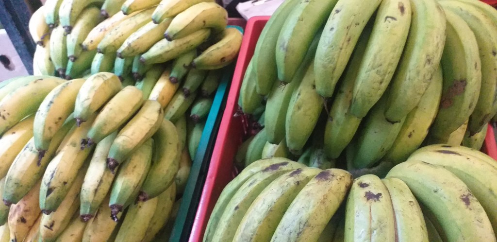 Banano criollo 1ra