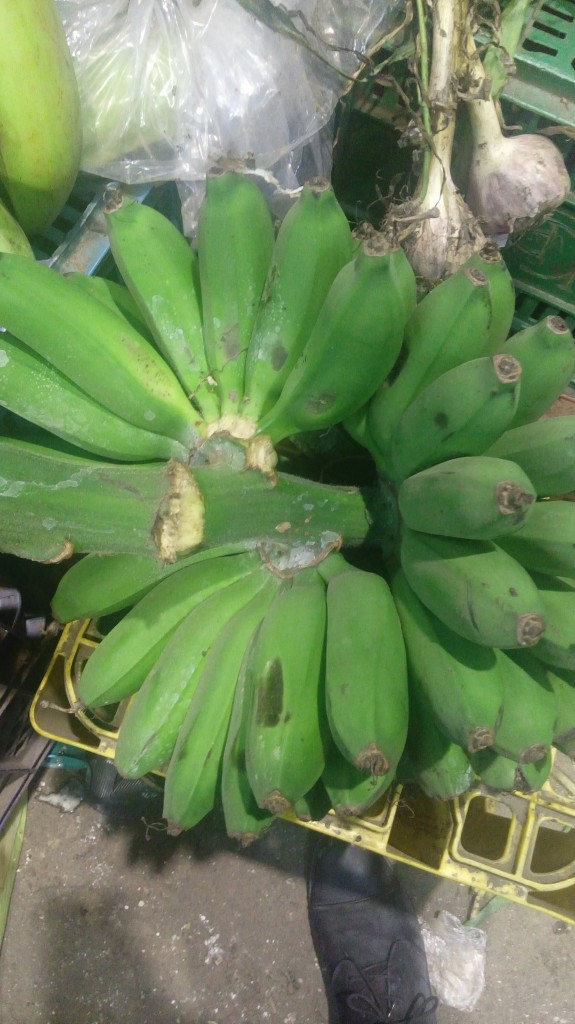 Colicero