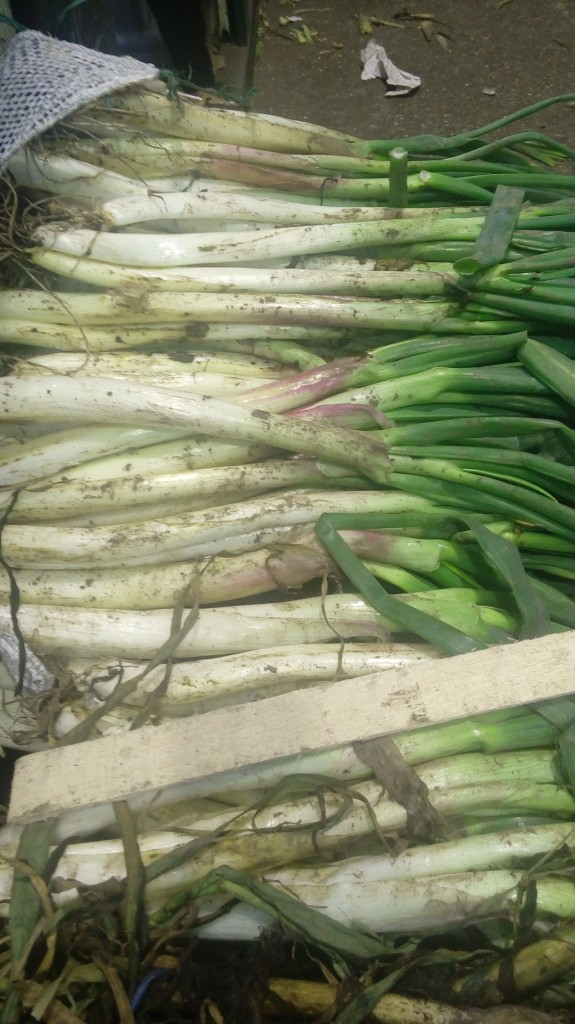 Cebolla larga