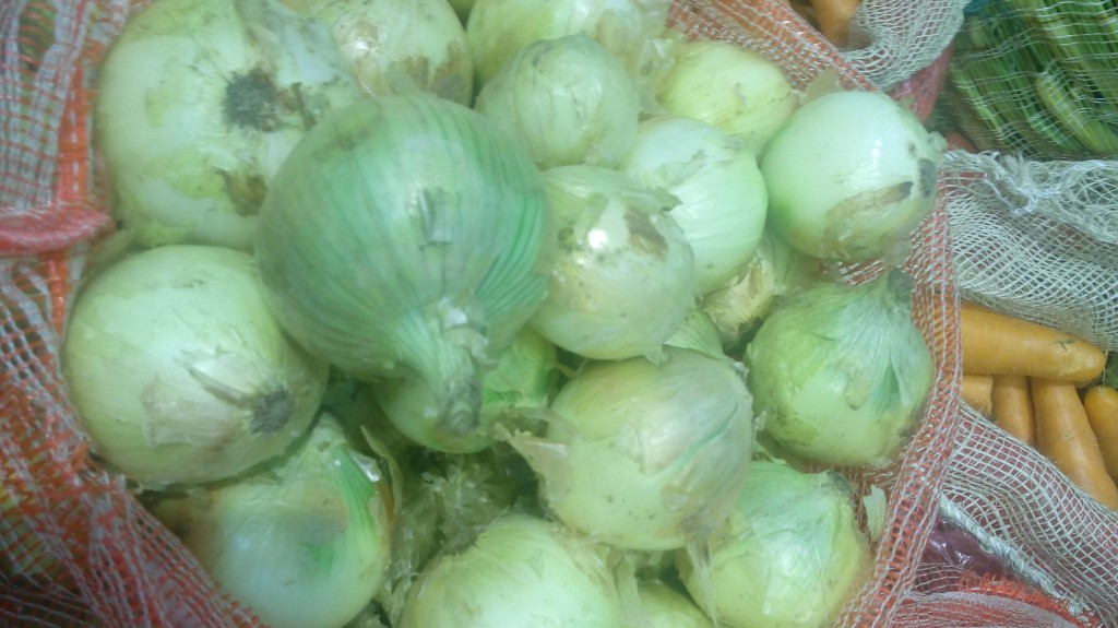 Cebolla cabezona