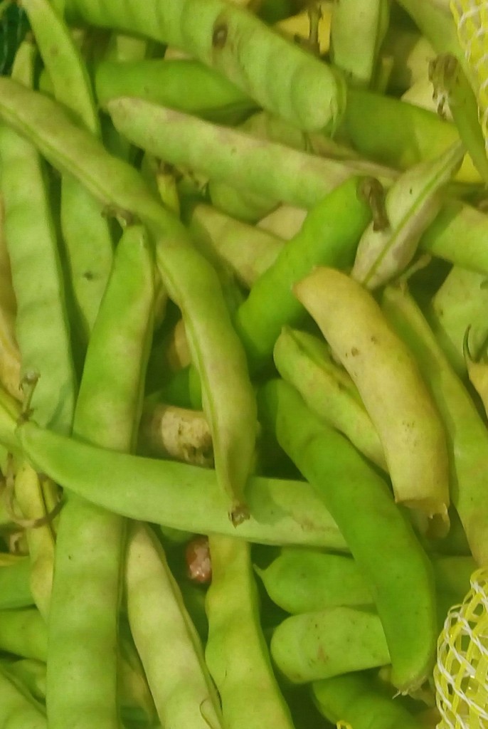 Fríjol en cascara
