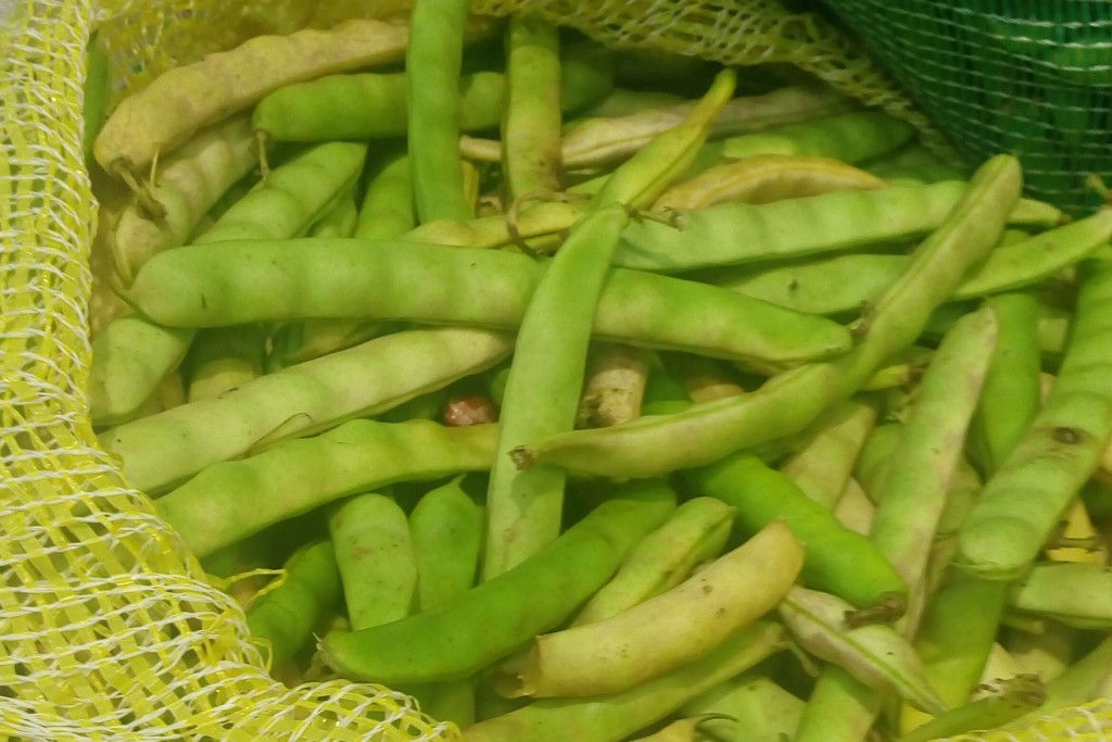 Frijol en cascara