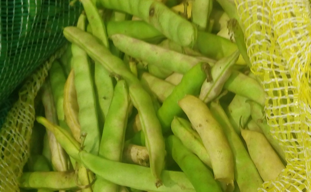 Fríjol en cascara