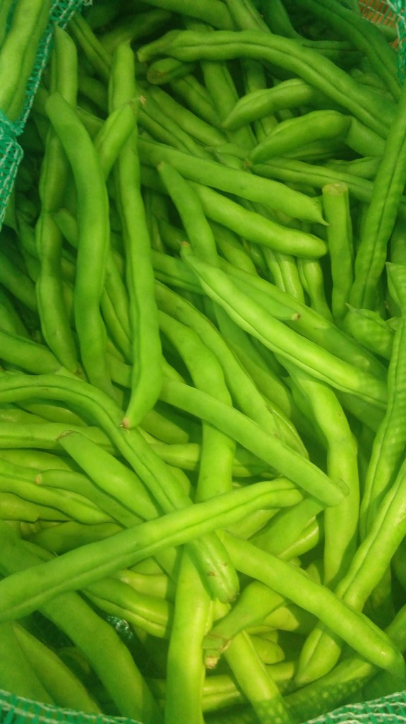 Habichuelas