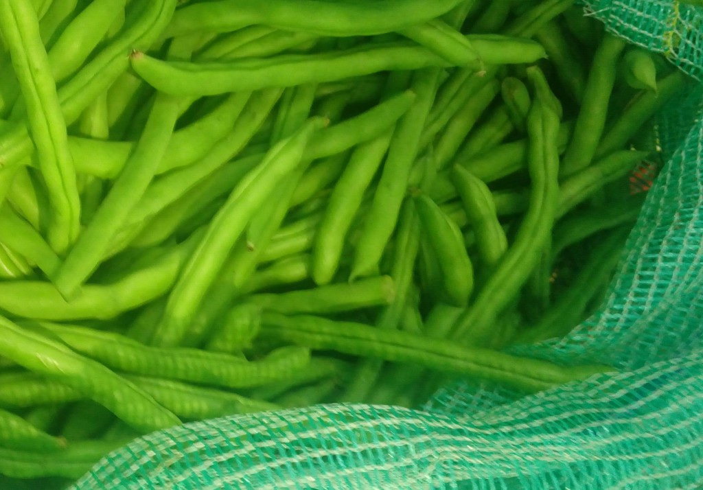 Habichuelas