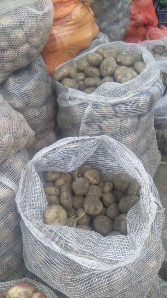 Papa pastusa pareja