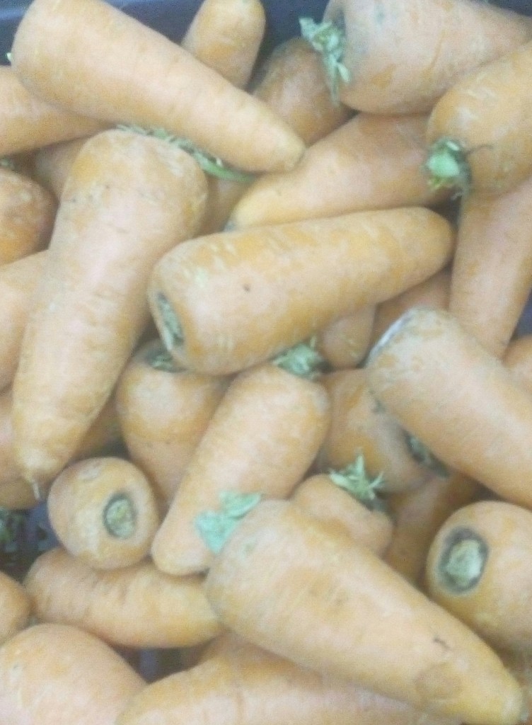 Zanahoria