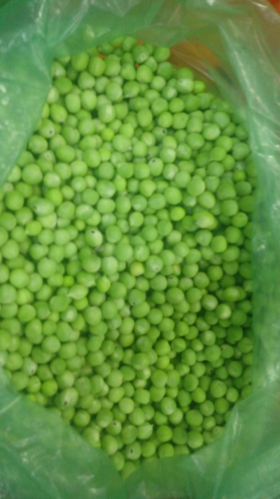 Arveja