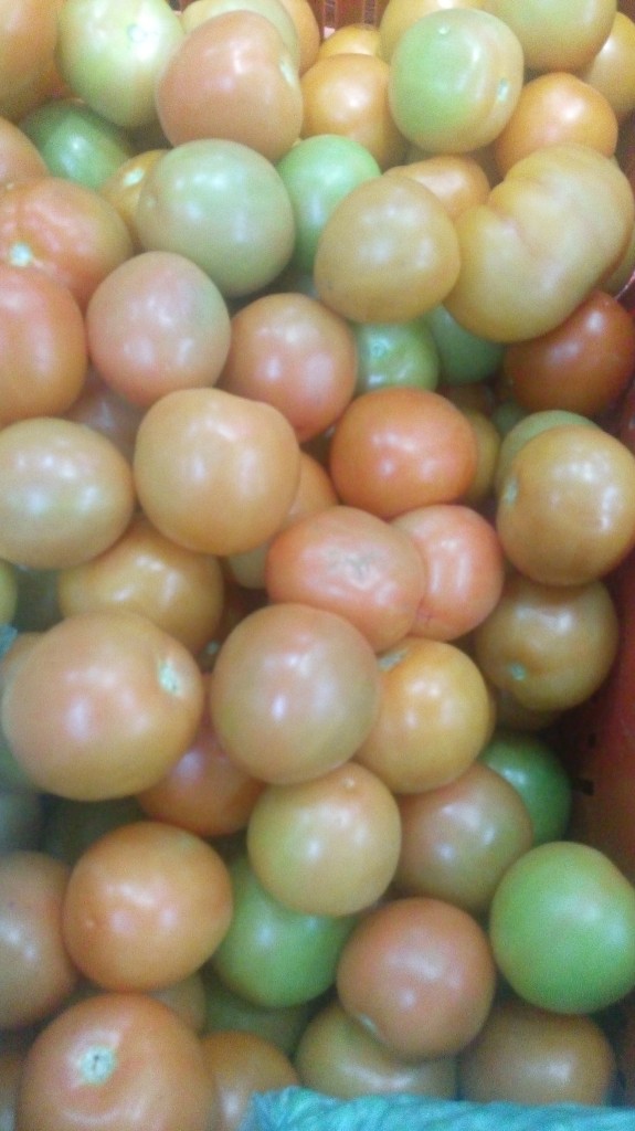Tomate chonto de segunda