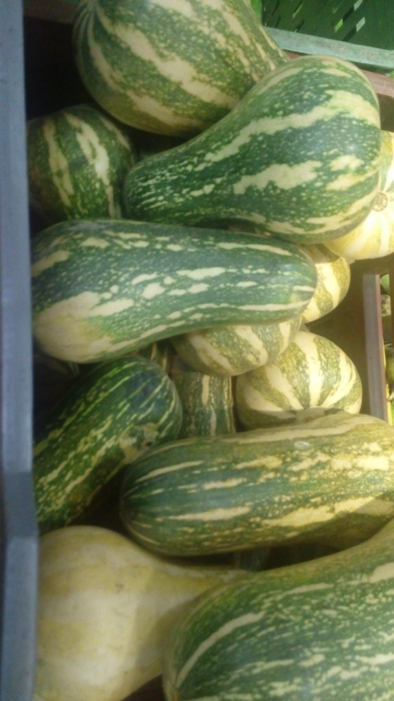 Ahuyama Sapayo