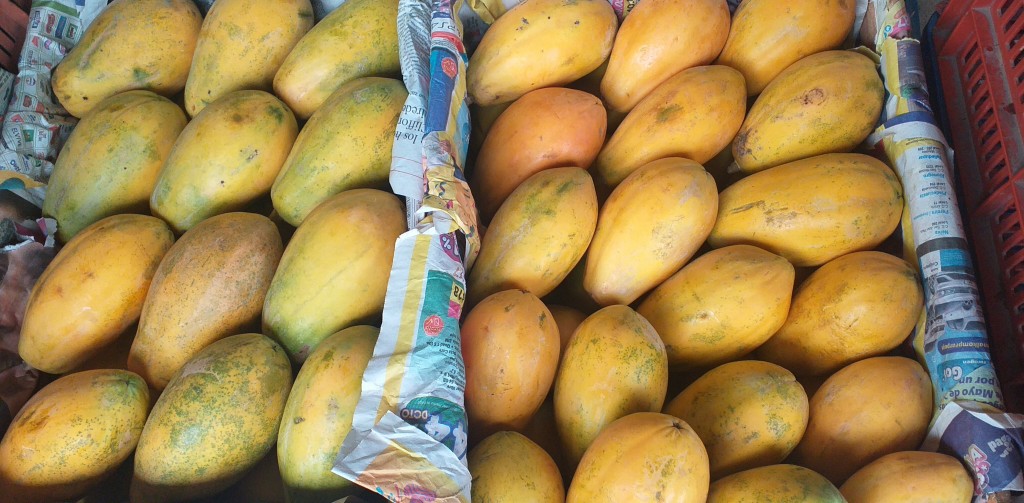 Papaya costeña delgada/25kg