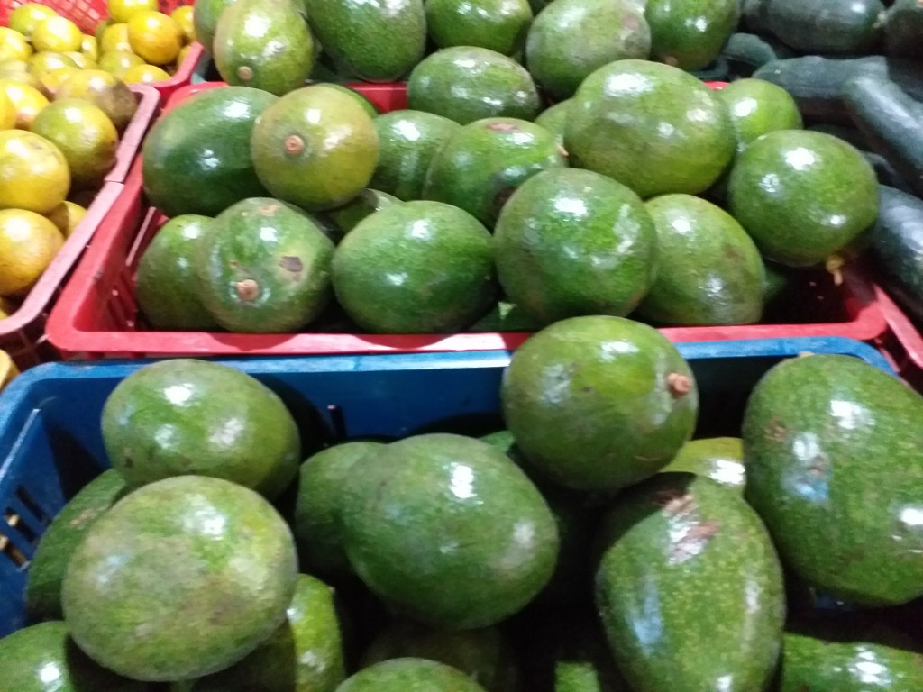Aguacate choquette