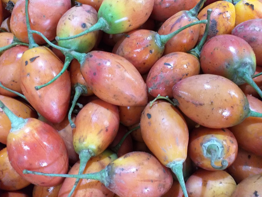 Tomate arbol grueso