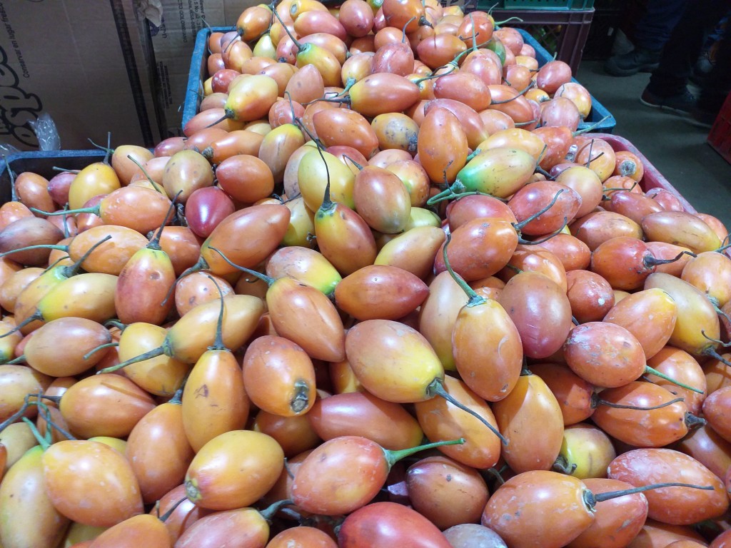 Tomate de arbol