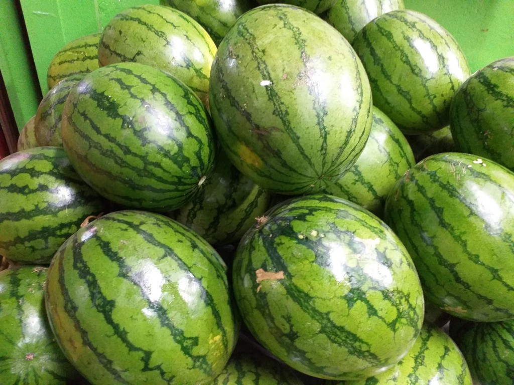 Sandia baby