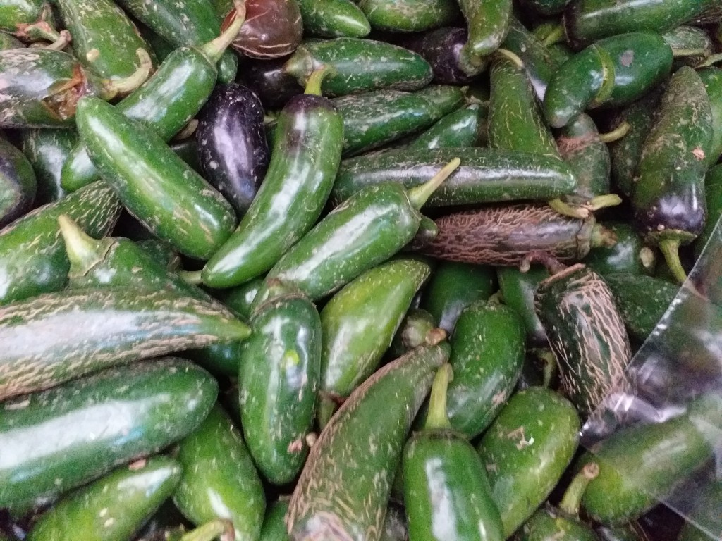 Aji jalapeño