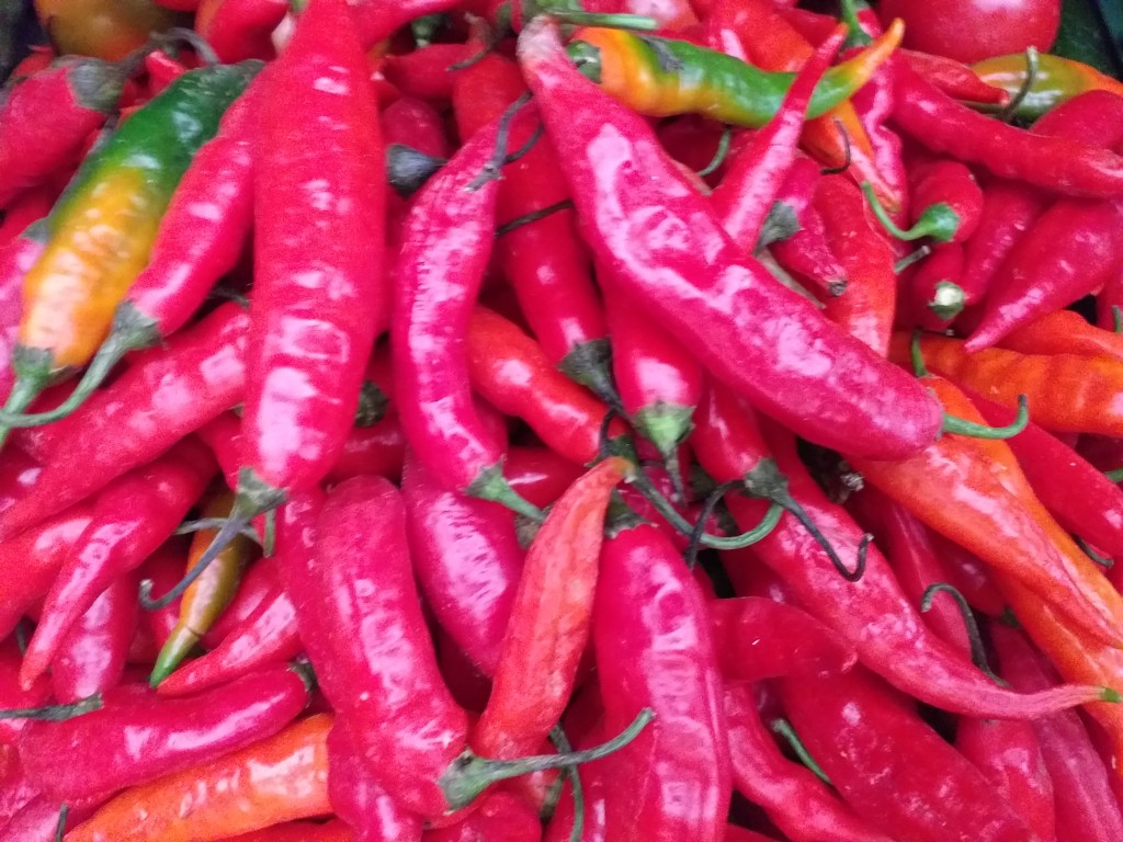 Aji del Arbol