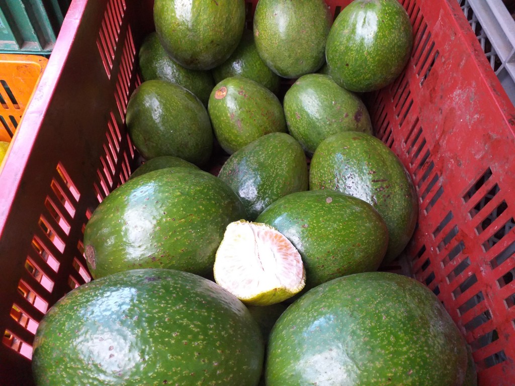 Aguacate choquette