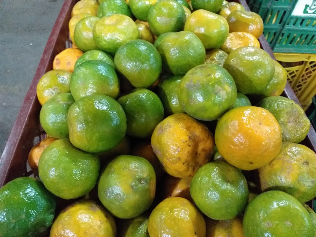Mandarina mediana