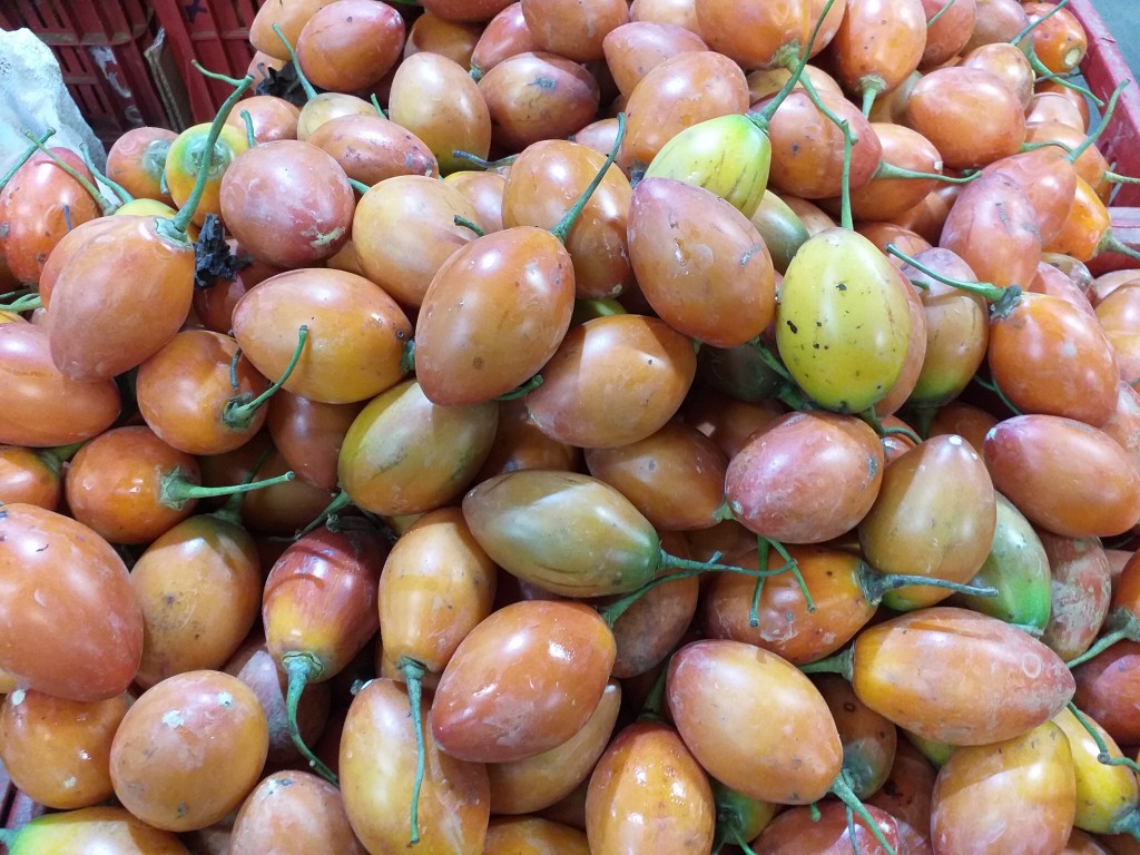 Tomate de arbol grueso