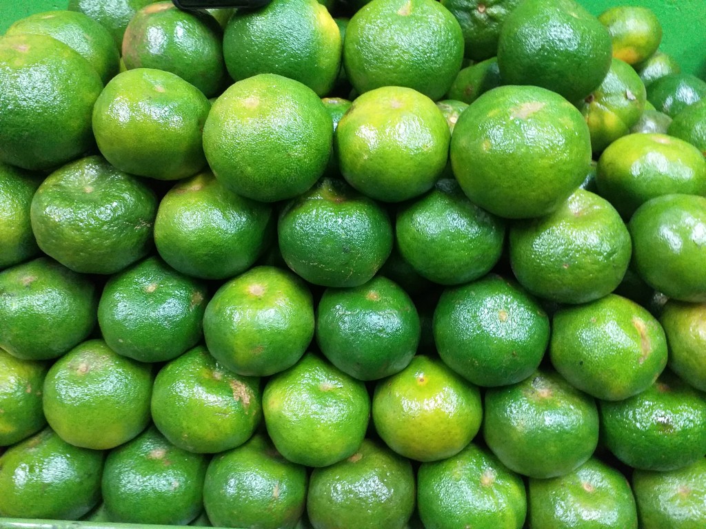 Mandarina oneca
