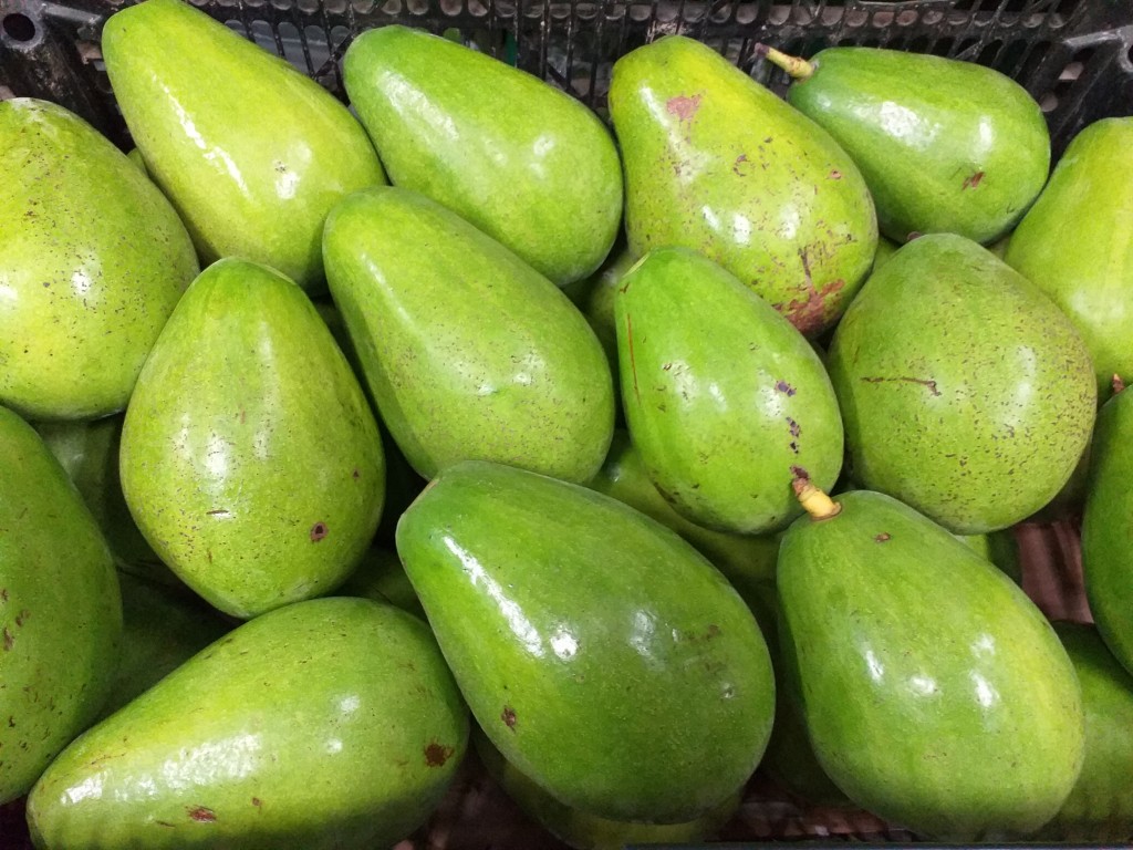 Aguacate papelillo