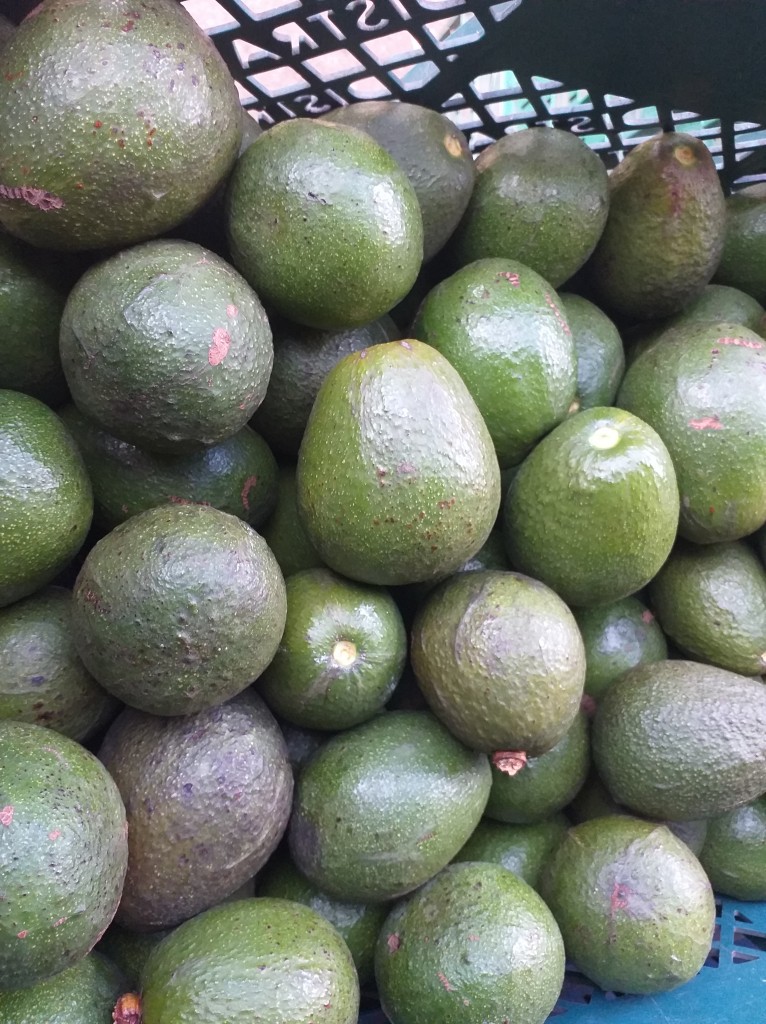 Aguacate fuerte