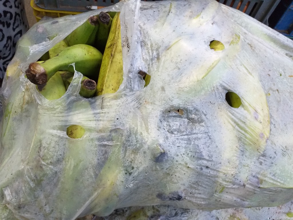 Platano puntilla