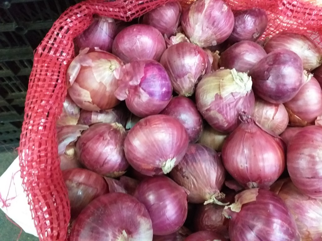 Cebolla huevo roja