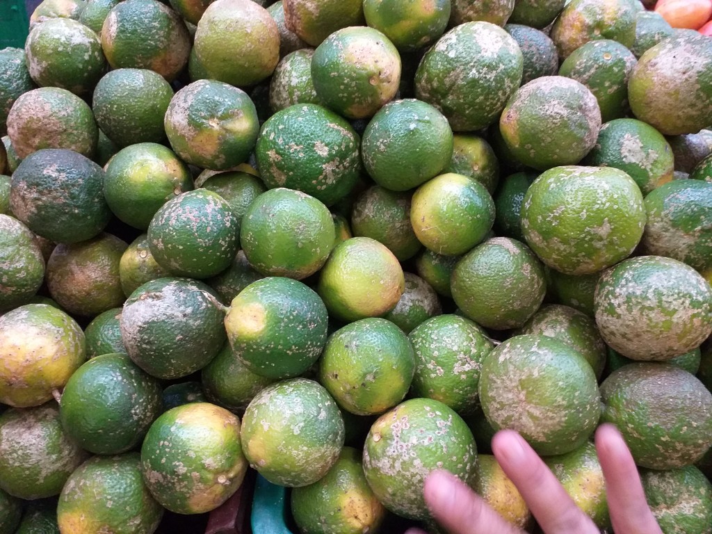 Limon mandarino