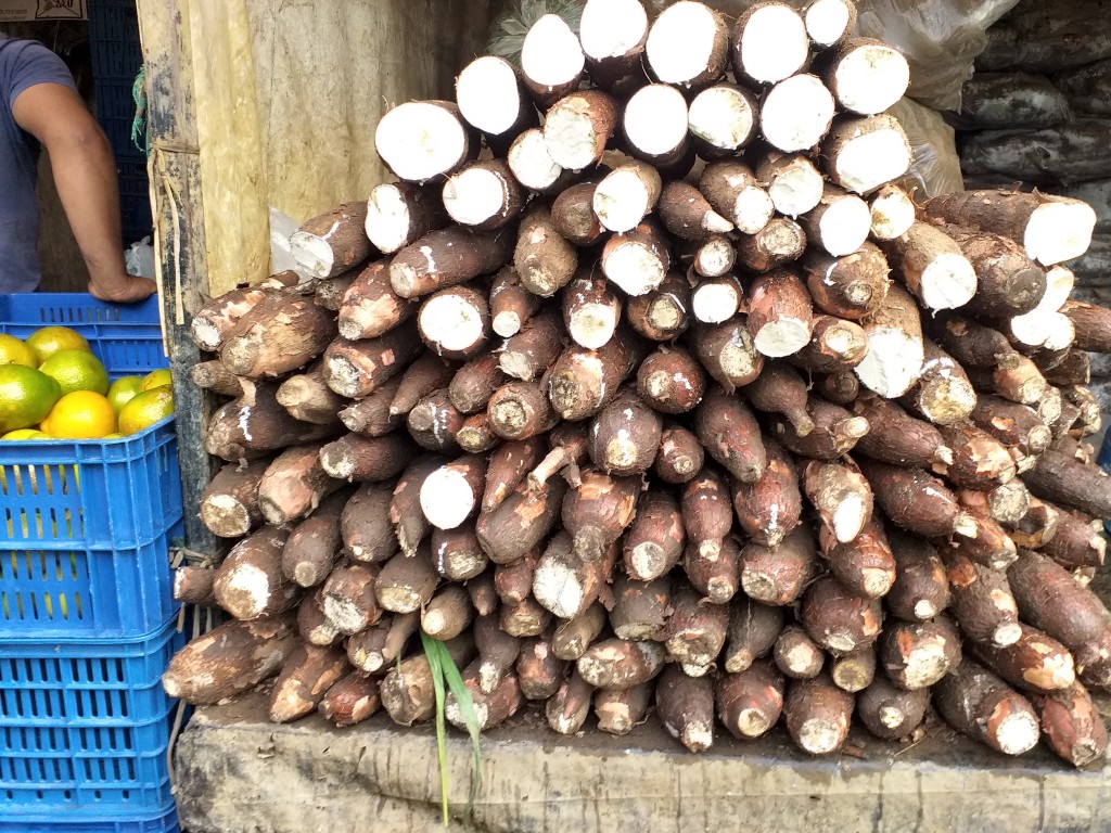 Yuca suelta