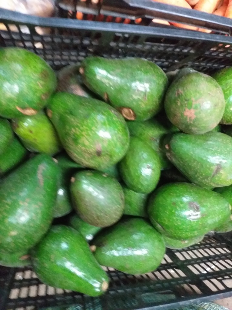 Aguacate choquette