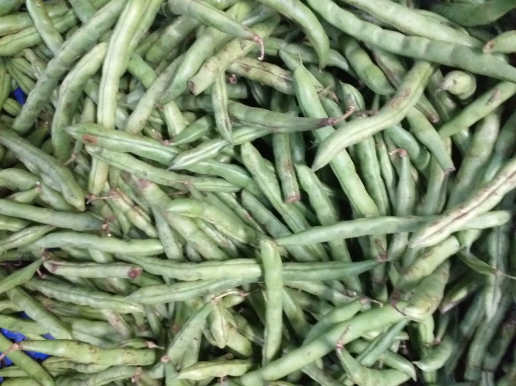 Habichuela