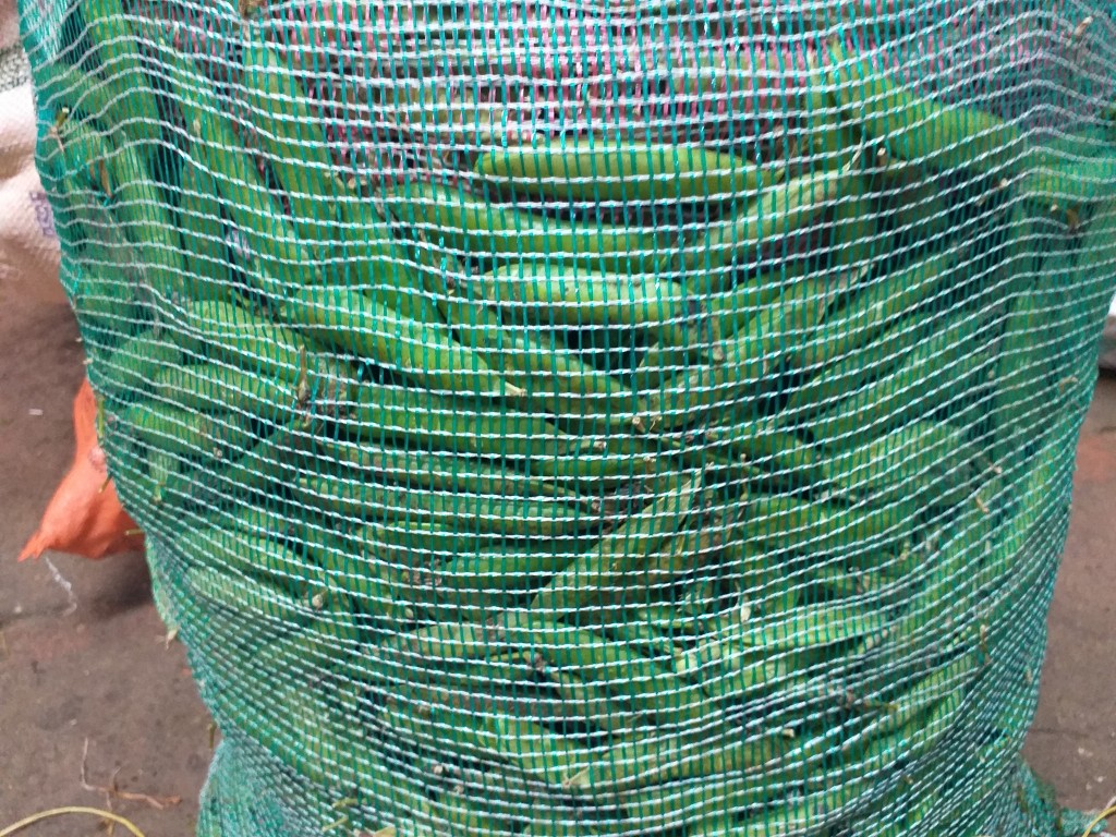 Arveja