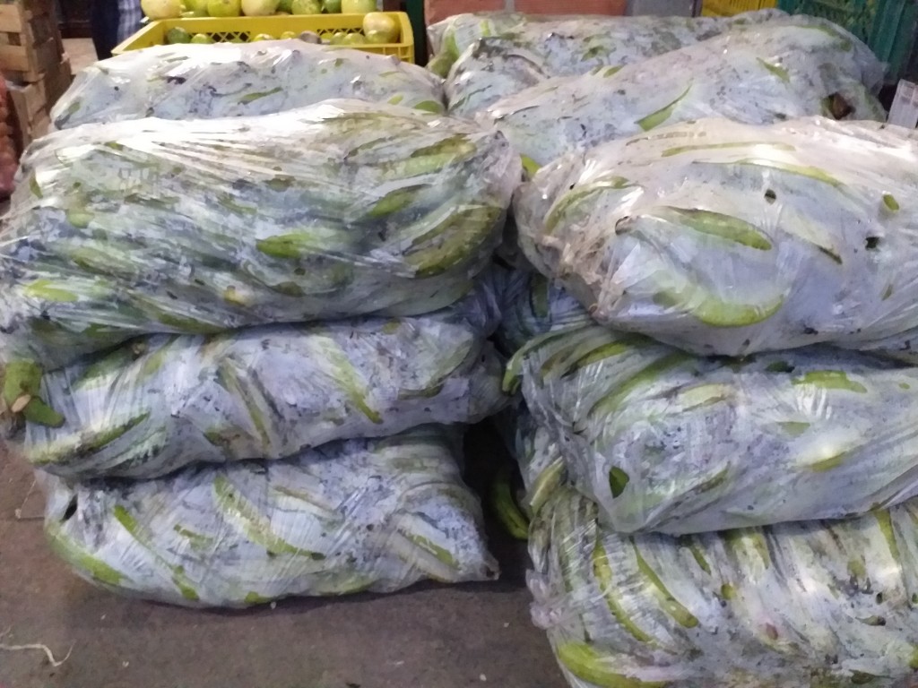 Platano urabeño