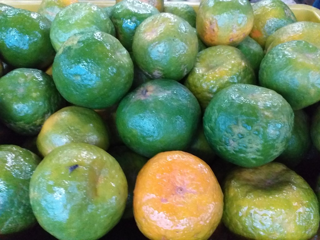 Mandarina