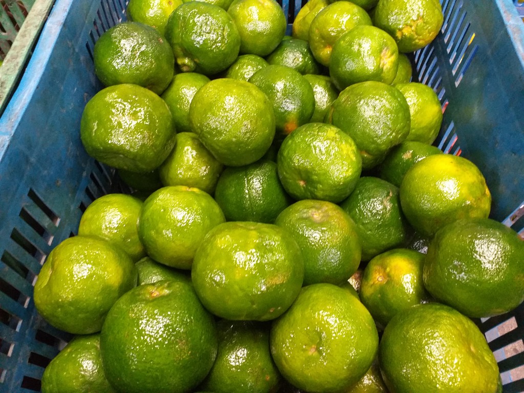 Mandarina oneca