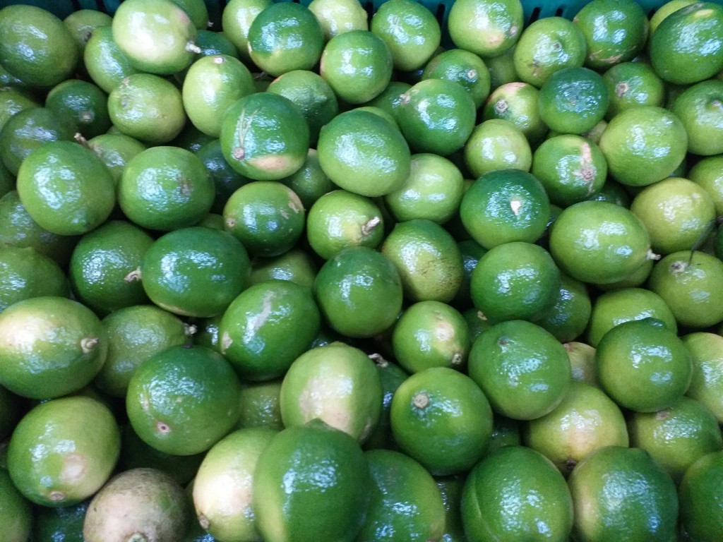 Limon tahiti
