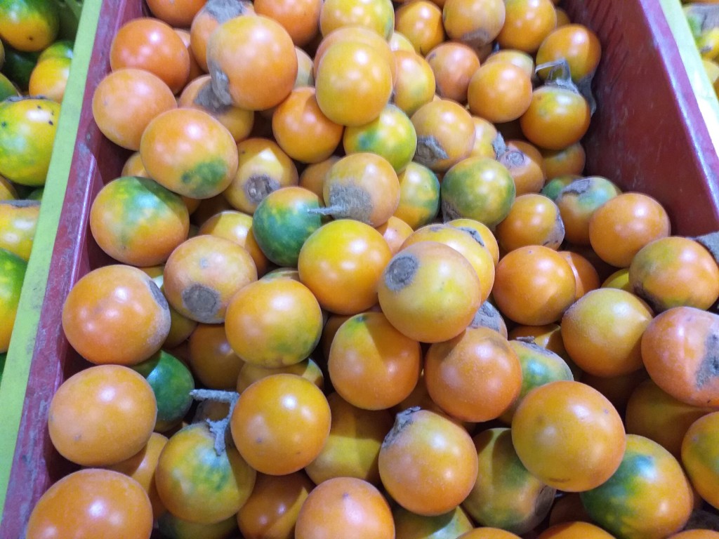 Lulo pequeño