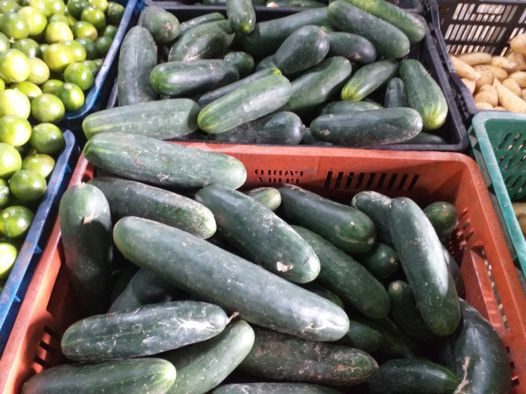 Pepino