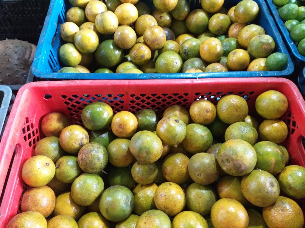 Naranja valencia