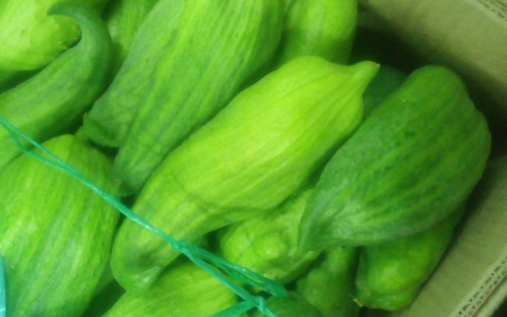Pepino para guiso
