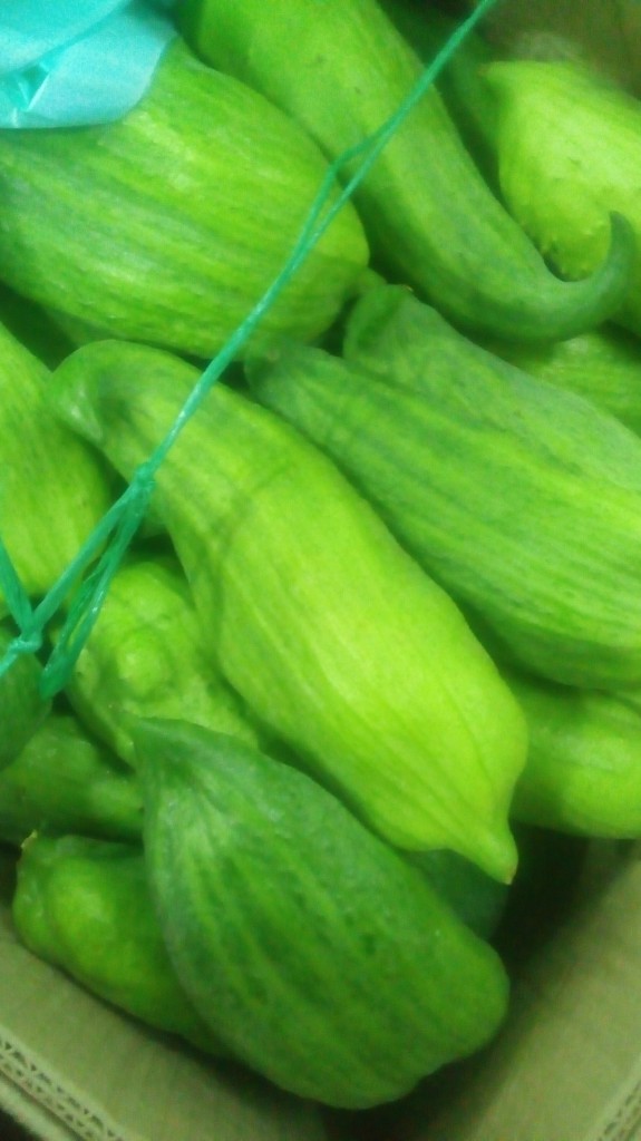 Pepino para guiso