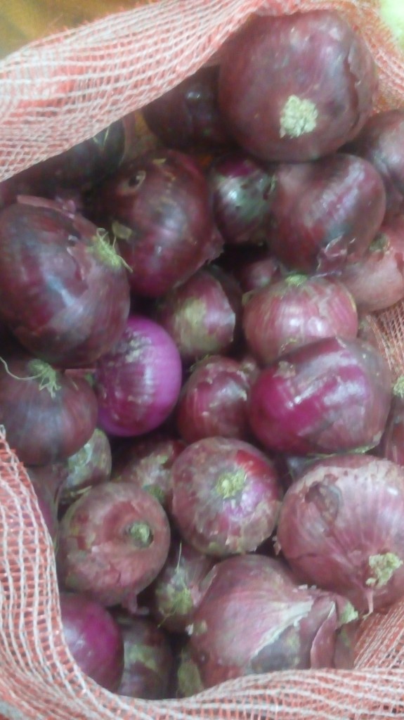 Cebolla cabezona morada