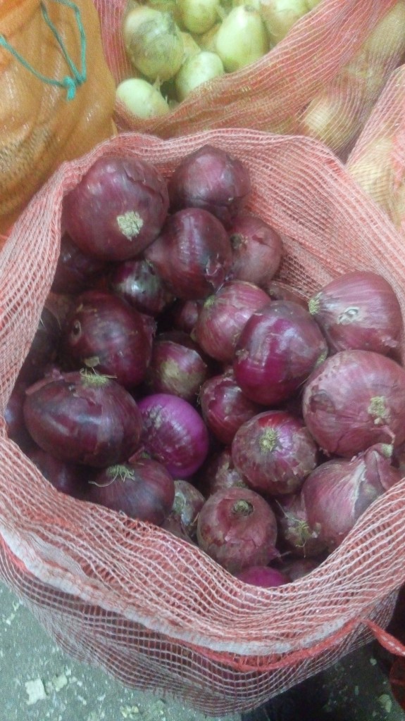 Pepino cohombro