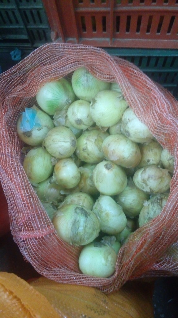 Pepino cohombro