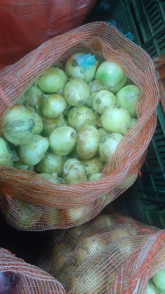 Cebolla cabezona gruesa