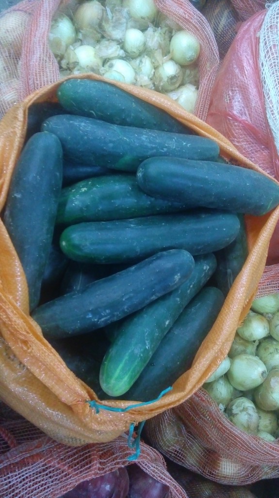 Pepino cohombro