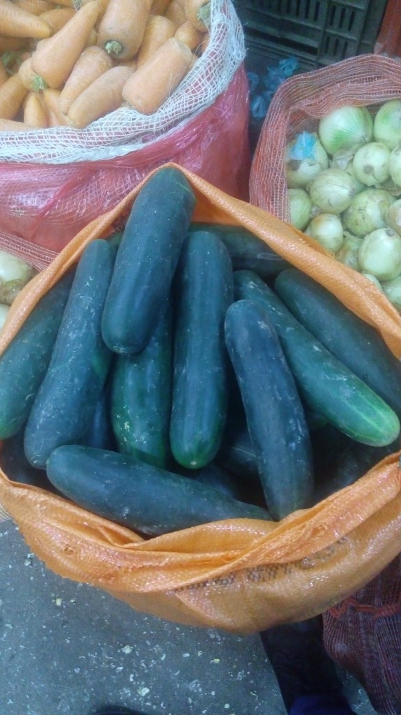 Pepino cohombro