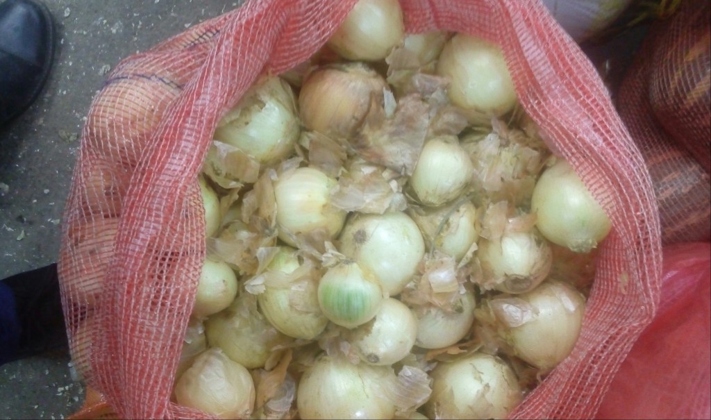Cebolla cabezona